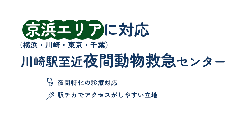  京浜エリアに対応川崎駅至近夜間動物救急センター